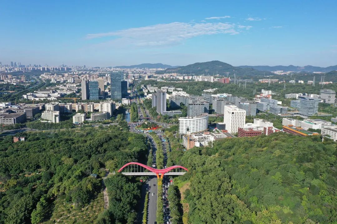 1658111376480450.jpg 640 (9).jpg